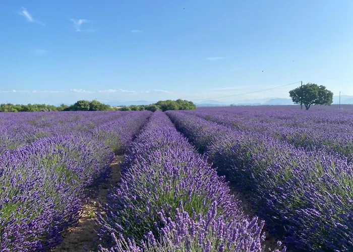 La Bastide Saint Georges & Hotel
