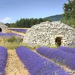 La Bastide Saint Georges&spa 4* Forcalquier