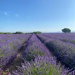 La Bastide Saint Georges&spa Hotel