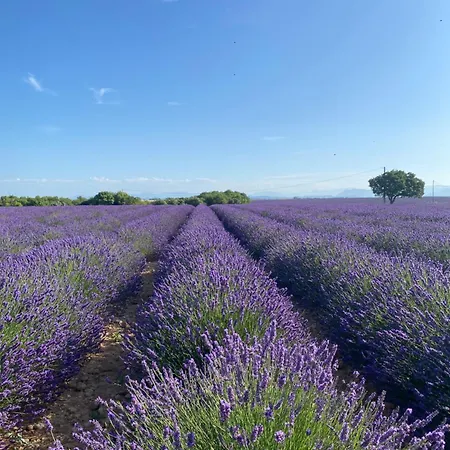 La Bastide Saint Georges & Hotel